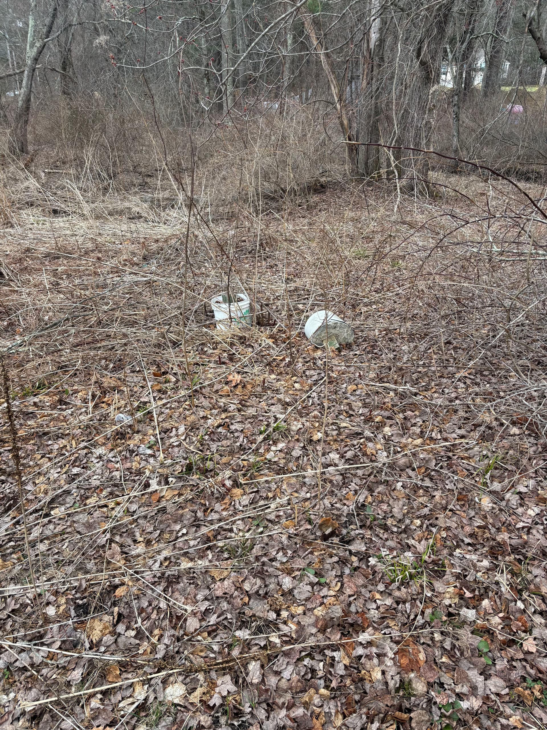 Gallery photos for Backyard Cleanout Clears Out Grills, Fire Pits and More in Salem NH: Image #6