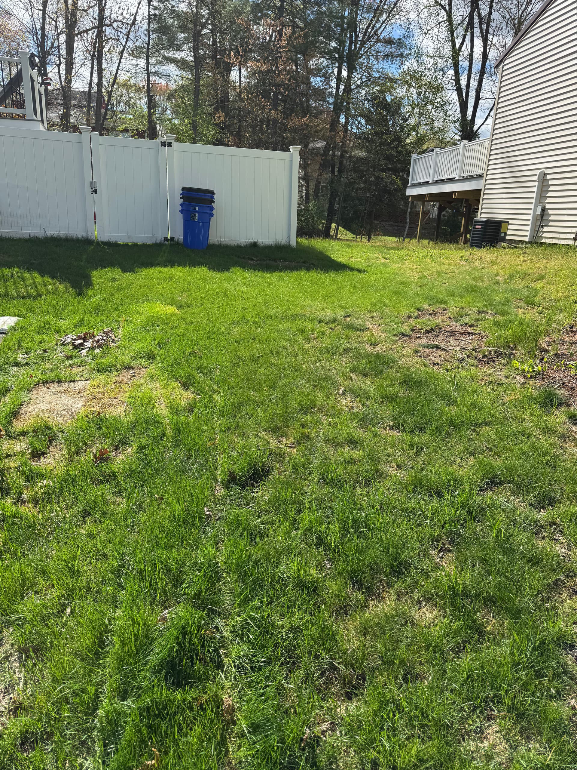 Gallery photos for Yard Cleanout Clears Out Years of Clutter in Nashua: Image #1