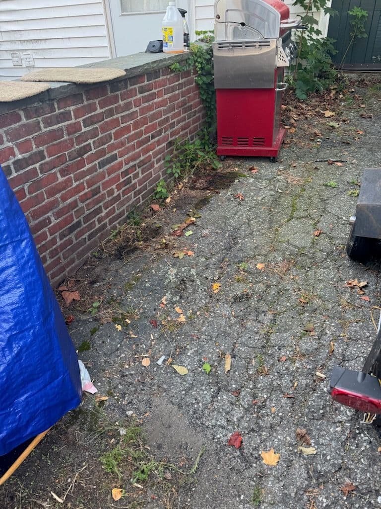 Project Outdoor Space Clean-Up in Nashua image