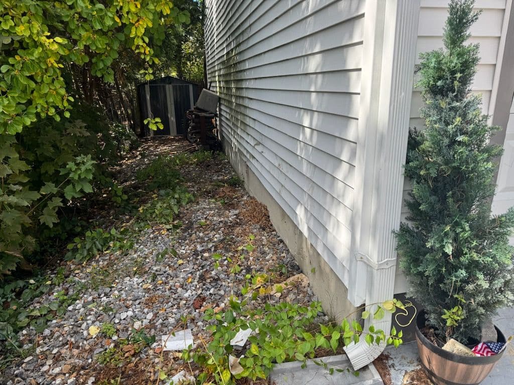 Effortlessly Clearing Yard Clutter in Nashua NH image