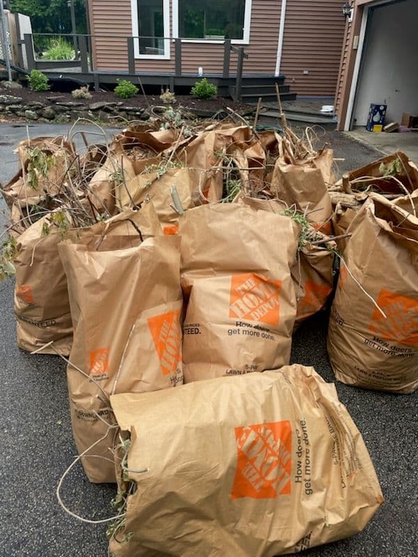 Efficient Yard Waste Removal in Windham NH image