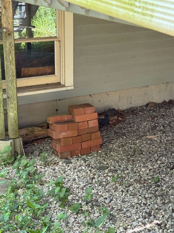 Gallery photos for Backyard Transformation with Junk Removal in Nashua: Image #2