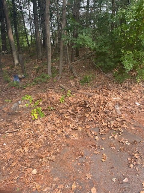 Gallery photos for Efficient Backyard Cleanup in Londonderry: Image #1