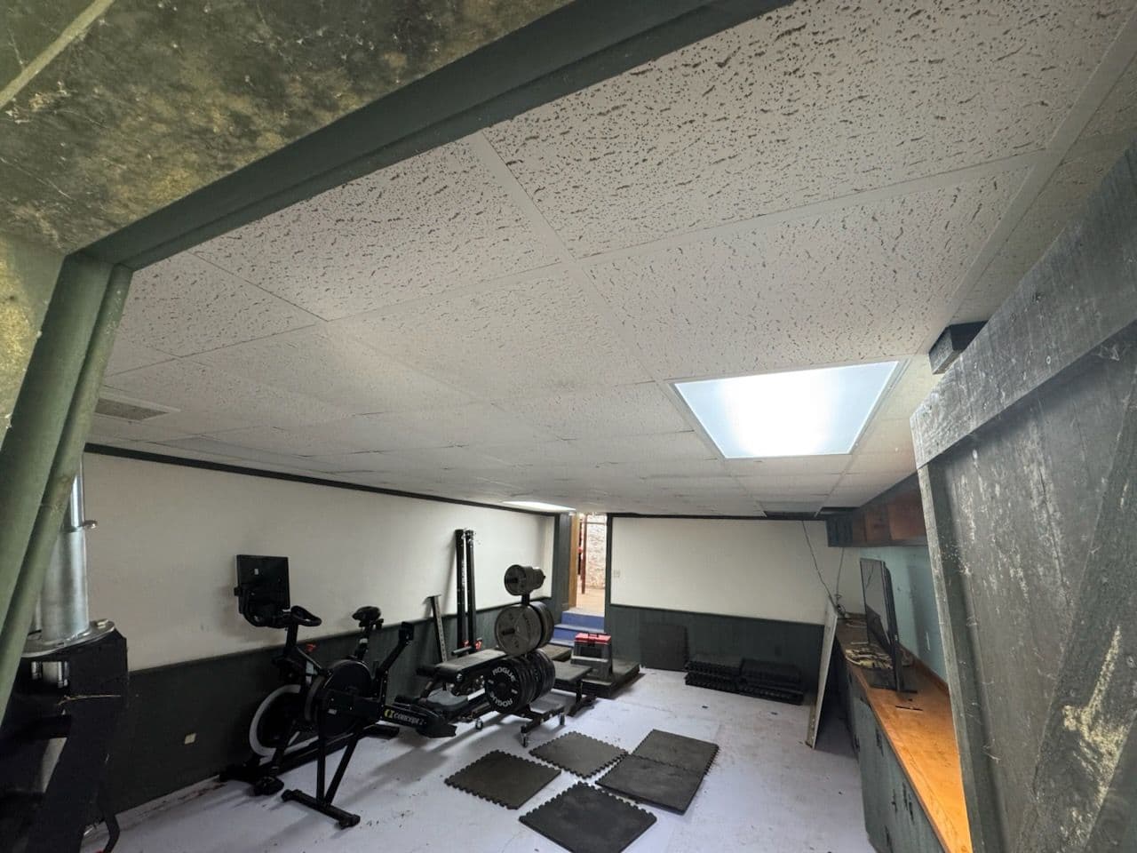 Basement Transformation for Dream Home Gym image