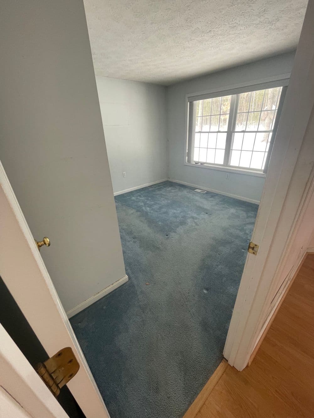 Gallery photos for Residential Space Clearing and Organization: Image #4