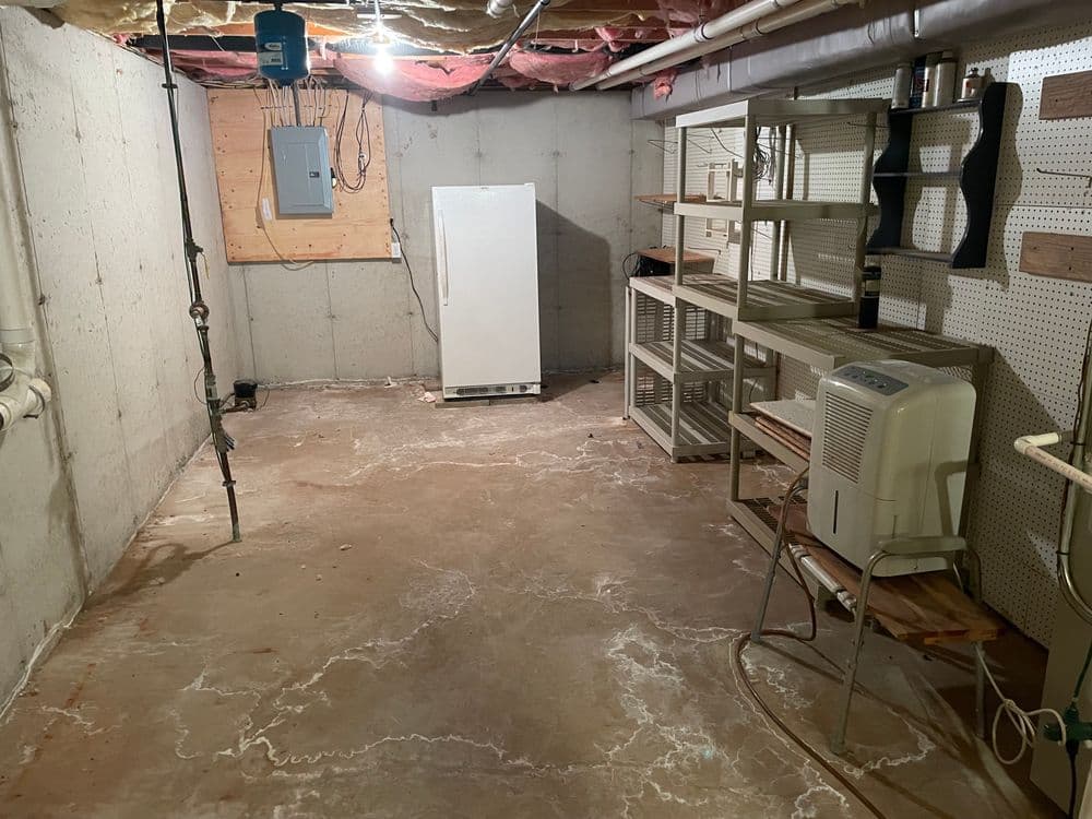 Gallery photos for Residential Space Clearing and Organization: Image #1
