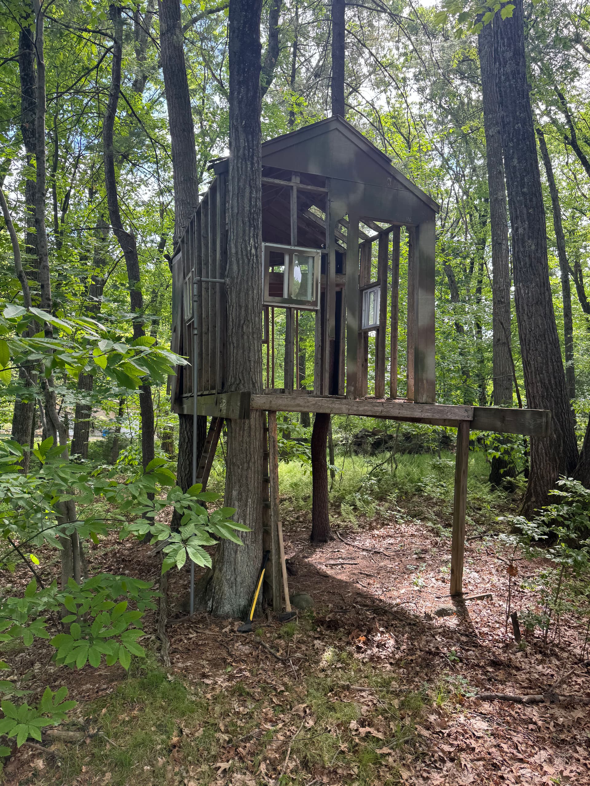 Old Treehouse Torn Down and Hauled Away in Chelmsford image