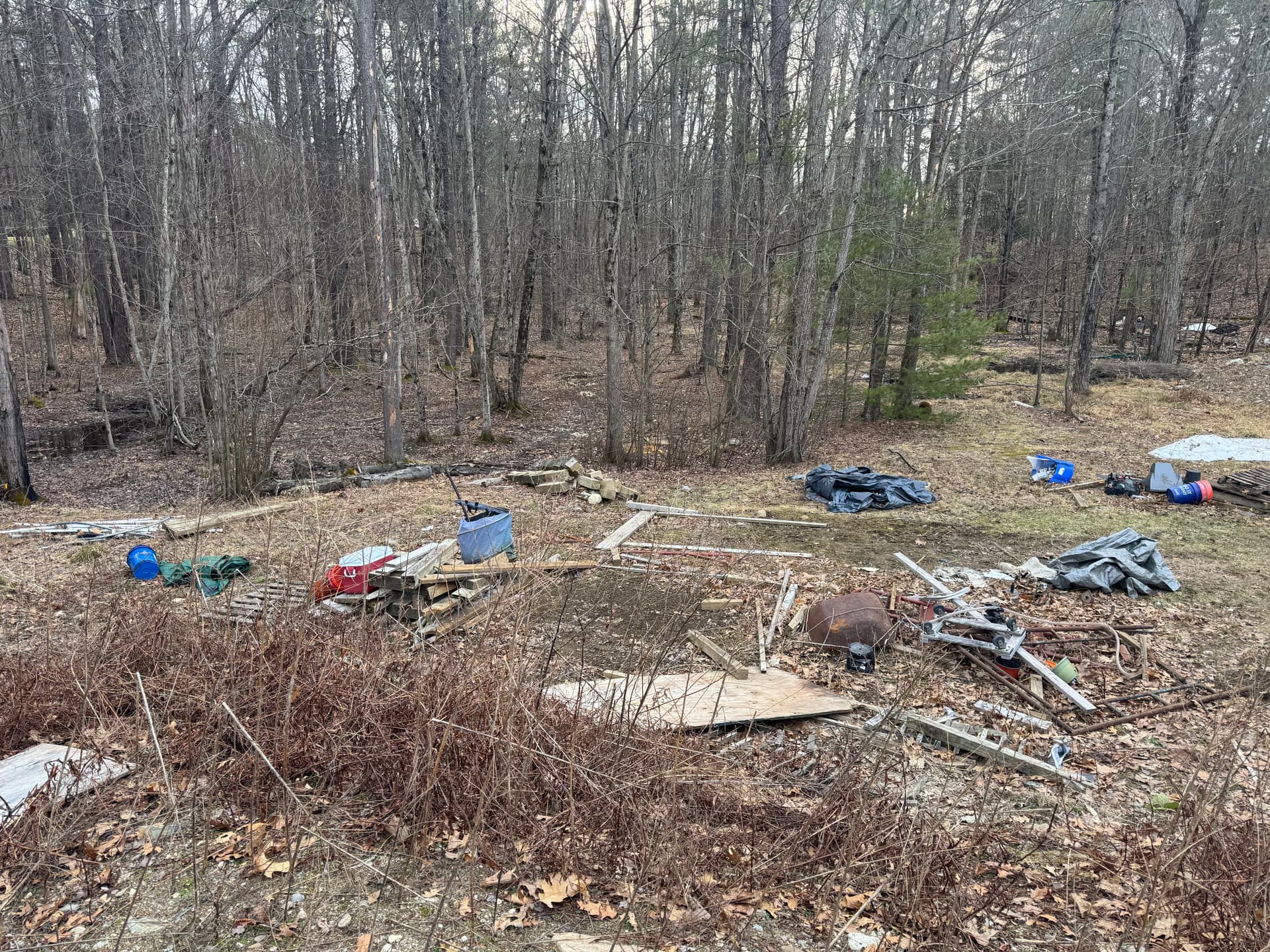 Gallery photos for Tranquil Space Restored with Expert Junk Removal: Image #1