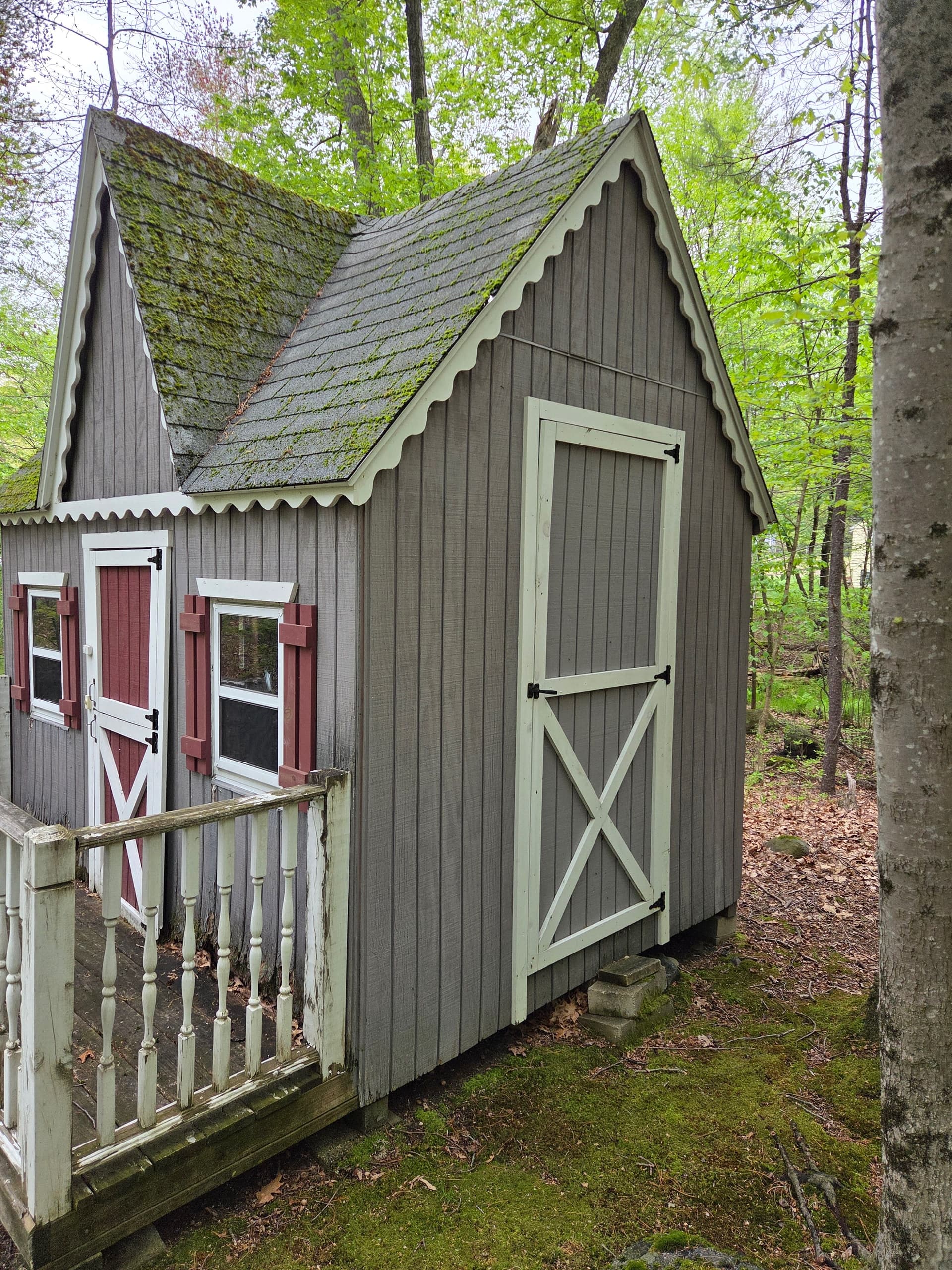 Gallery photos for Shed Demo and Haul-Away in Chelmsford MA Opens Up Backyard Space: Image #1