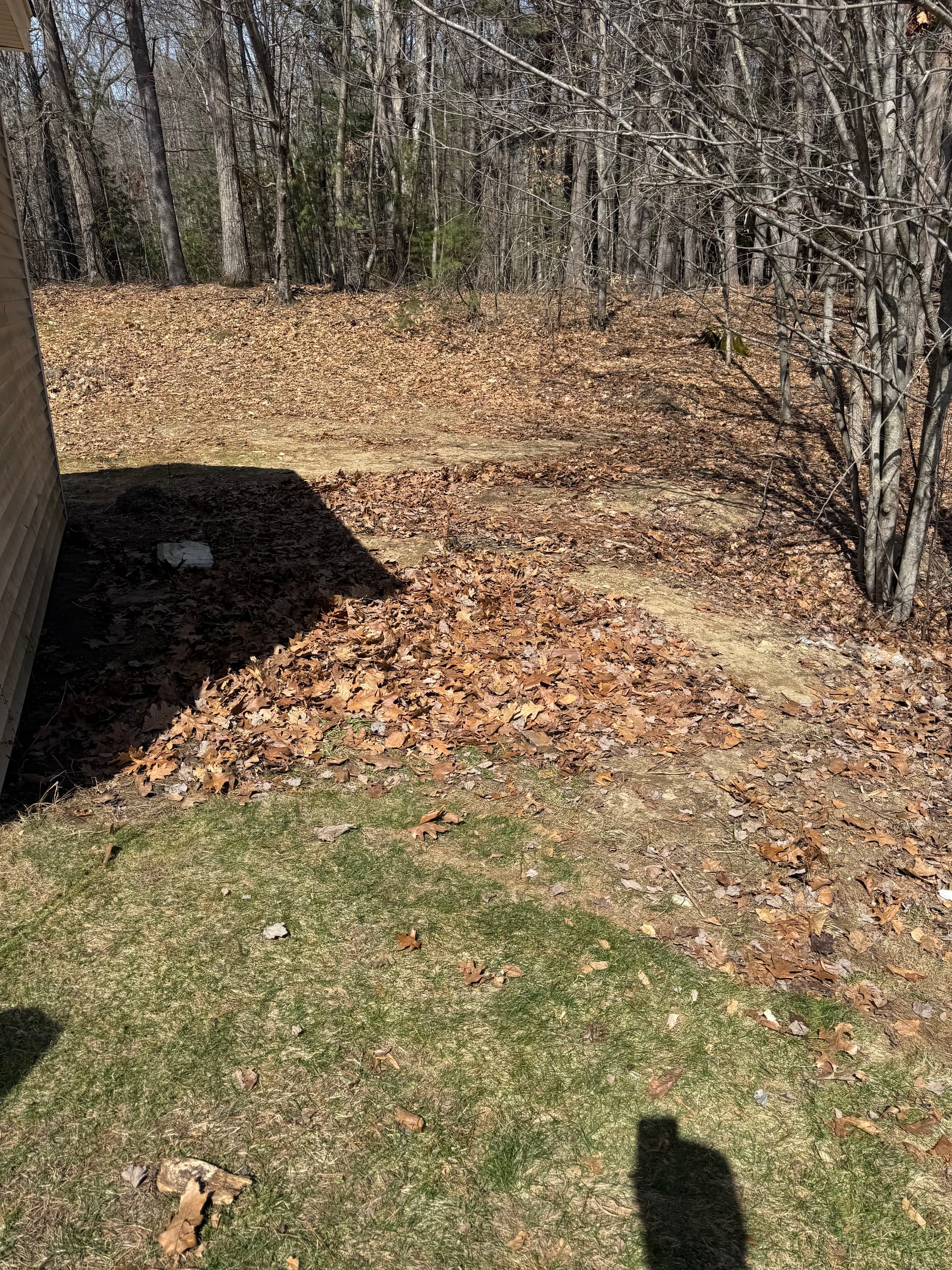 Gallery photos for Tranquil Space Restored with Expert Junk Removal: Image #3