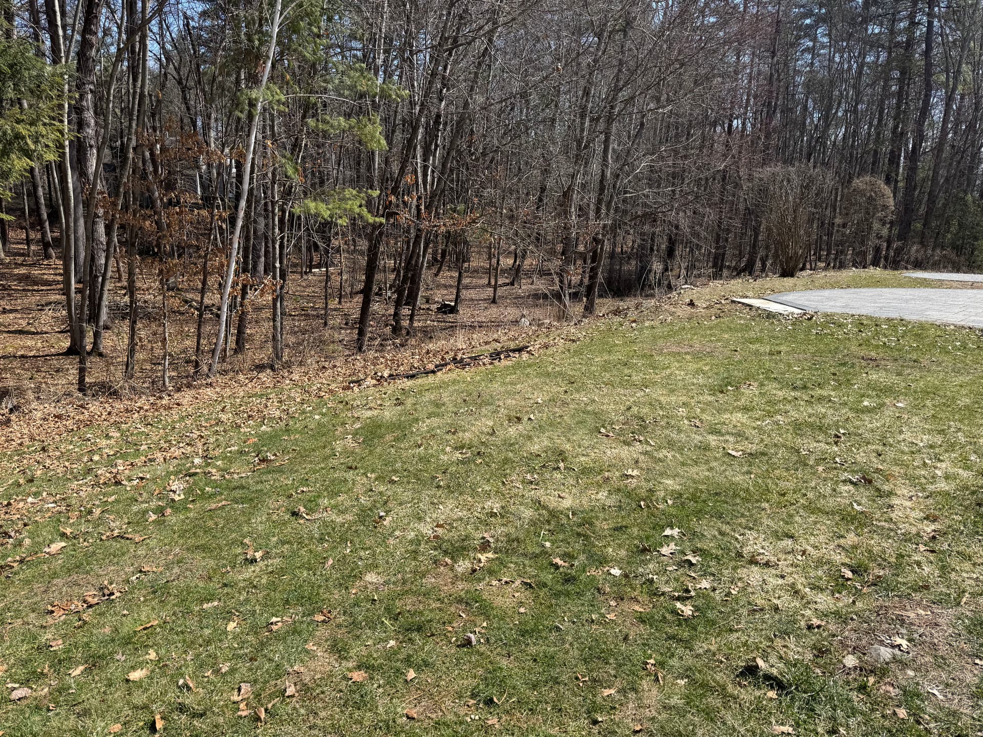 Gallery photos for Tranquil Space Restored with Expert Junk Removal: Image #4