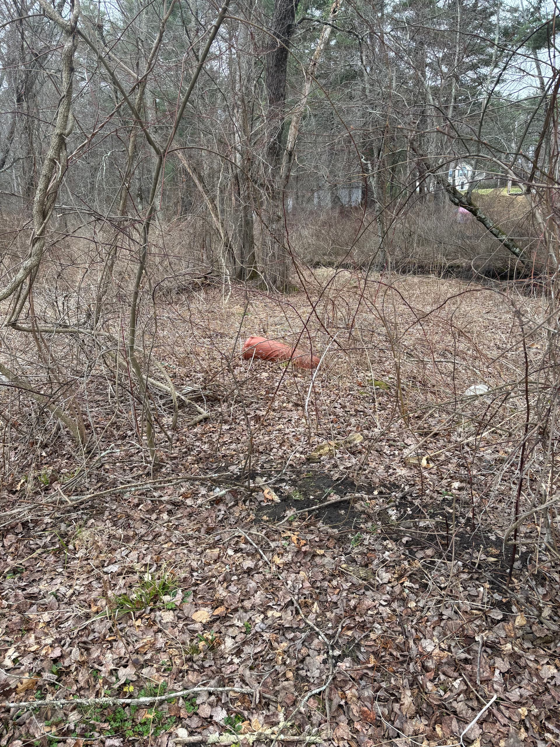 Gallery photos for Backyard Cleanout Clears Out Grills, Fire Pits and More in Salem NH: Image #7