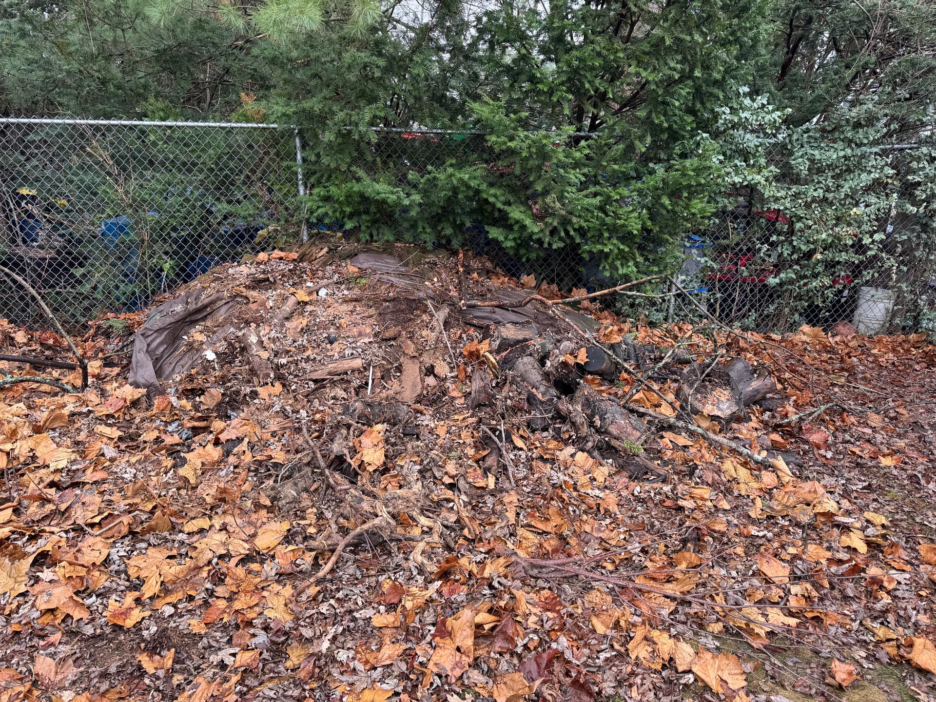 Gallery photos for Old Deck Demolition and Backyard Debris Hauled Away in Nashua: Image #1