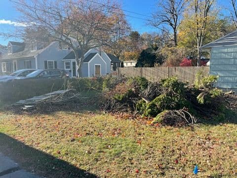 Gallery photos for Brush and Fencing Haul in Nashua: Image #2